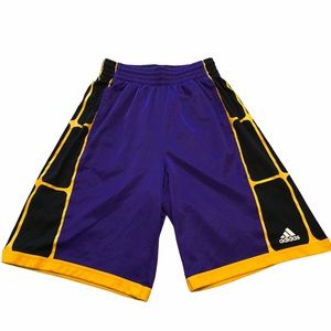 Purple Addidas basketball shorts